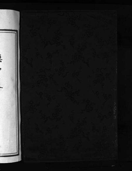 浙江李氏族谱-李氏宗谱 [不分卷].pdf电子版预览图2