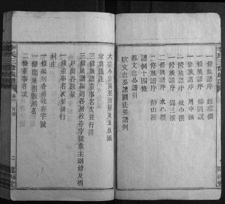 湖南李氏族谱-李氏三修族谱[10卷图2卷首2卷].pdf电子版预览图2