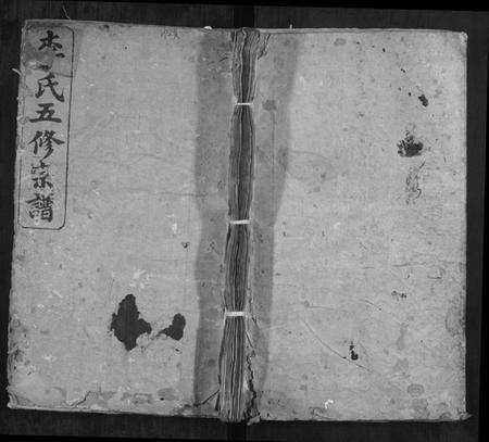 湖南李氏族谱-李氏五修宗谱.pdf电子版缩略图