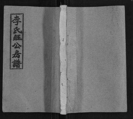 湖南李氏族谱-李氏五修房谱[5卷首1卷].pdf电子版缩略图