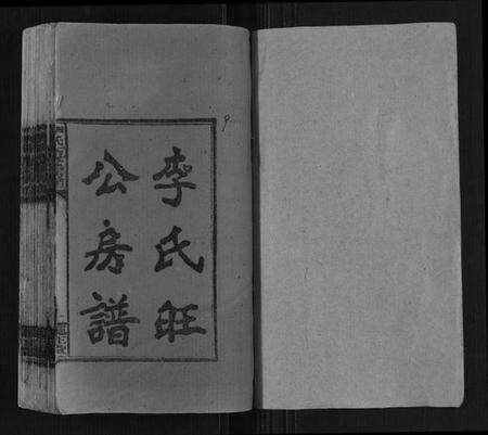 湖南李氏族谱-李氏五修房谱[5卷首1卷].pdf电子版预览图1