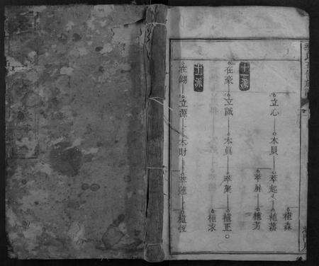 湖南李氏族谱-李氏五修族谱.pdf电子版缩略图