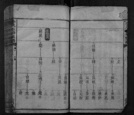 湖南李氏族谱-李氏五修族谱.pdf电子版预览图3