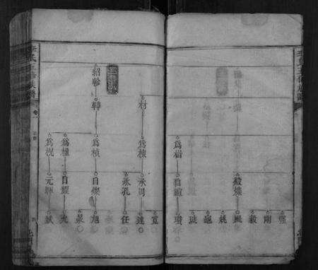 湖南李氏族谱-李氏五修族谱.pdf电子版预览图4