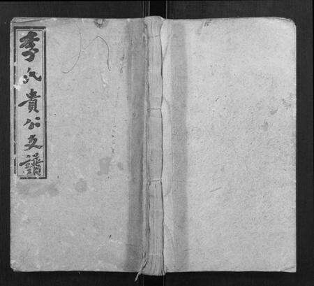 湖南李氏族谱-李氏五修族谱.pdf电子版缩略图