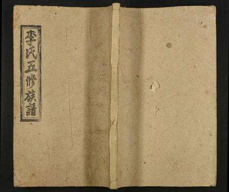 湖南李氏族谱-李氏五修族谱.pdf电子版缩略图