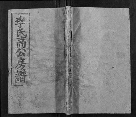 湖南李氏族谱-李氏五修族谱[21卷,首1卷].pdf电子版缩略图