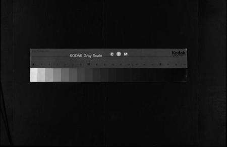 浙江胡氏族谱-东南湖胡氏宗谱 [10册].pdf电子版缩略图