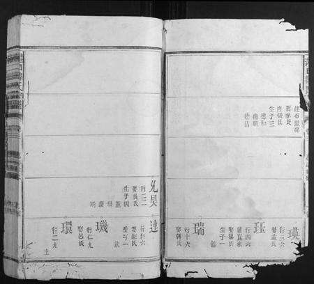 江西韩氏族谱-港口韩氏宗谱.pdf电子版预览图2