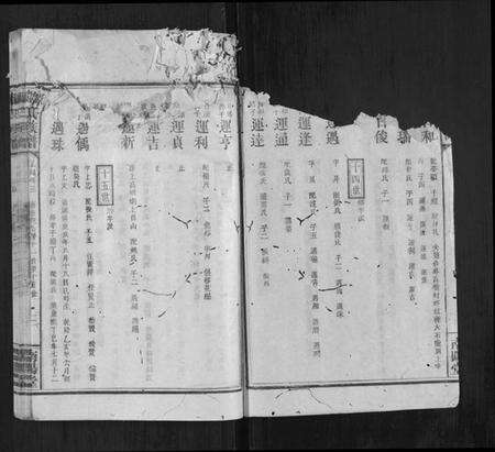 江西韩氏族谱-韩氏族谱.pdf电子版预览图2