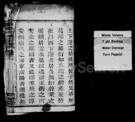 浙江许氏族谱-东安许氏宗谱 [12卷].pdf电子版预览图2