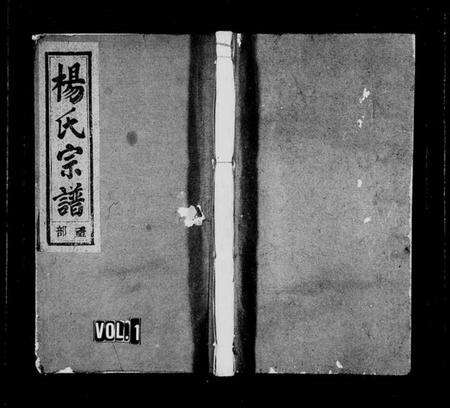 浙江杨氏族谱-东山杨氏宗谱 [6卷].pdf电子版预览图1