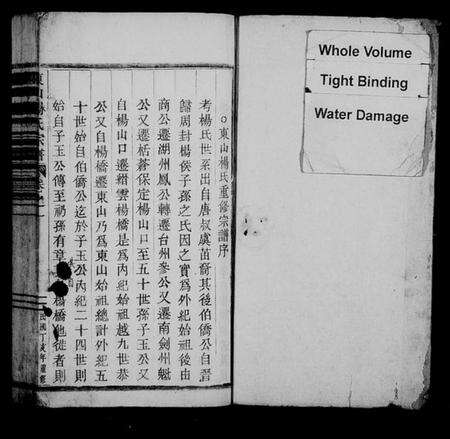 浙江杨氏族谱-东山杨氏宗谱 [6卷].pdf电子版预览图2