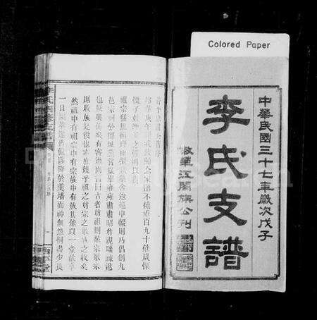 湖南李氏族谱-李氏四修支谱 [17卷,首末各1卷].pdf电子版预览图2