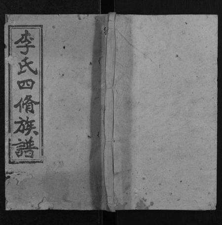 湖南李氏族谱-李氏四修族谱.pdf电子版缩略图