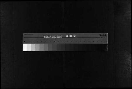 浙江李氏族谱-东李宗谱尚书博士石门支派.pdf电子版缩略图