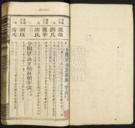 湖南李氏族谱-李氏宗谱.pdf电子版预览图1