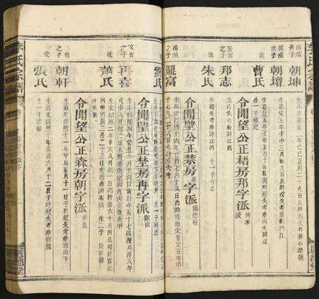 湖南李氏族谱-李氏宗谱.pdf电子版预览图2