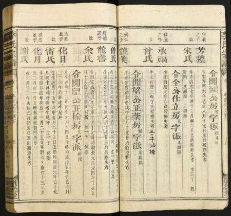 湖南李氏族谱-李氏宗谱.pdf电子版预览图5