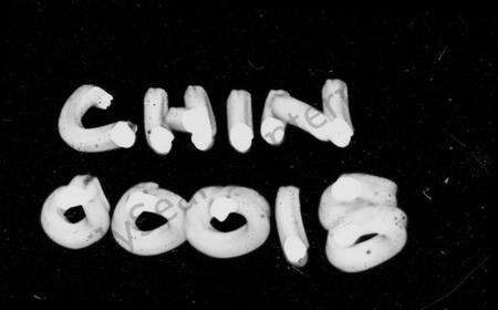 湖南李氏族谱-李氏宗谱 [29卷].pdf电子版预览图4