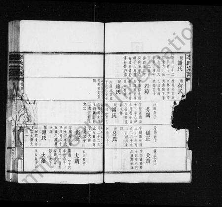 湖南李氏族谱-李氏宗谱 [残卷].pdf电子版预览图4