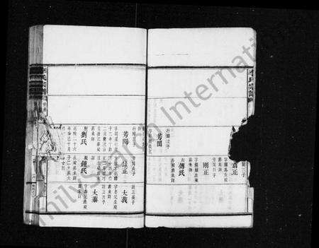 湖南李氏族谱-李氏宗谱 [残卷].pdf电子版预览图5