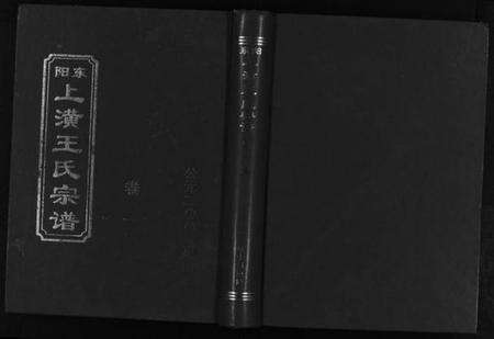 浙江王氏族谱-东阳上潢王氏宗谱 [8卷].pdf电子版预览图1