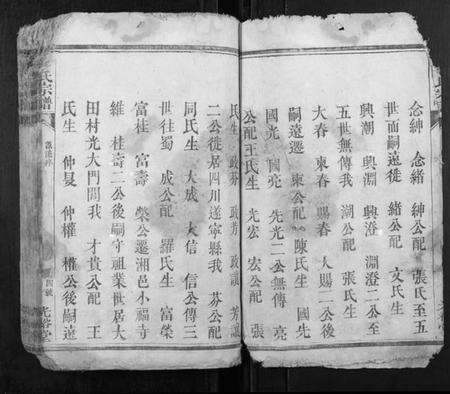 湖南李氏族谱-李氏宗谱[6卷].pdf电子版预览图3