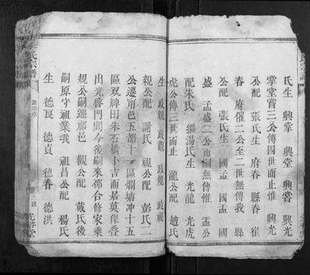 湖南李氏族谱-李氏宗谱[6卷].pdf电子版预览图5