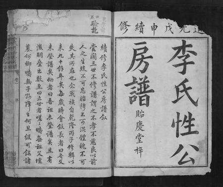 湖南李氏族谱-李氏性珍公房谱.pdf电子版预览图1