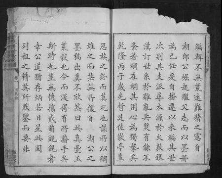 湖南李氏族谱-李氏性珍公房谱.pdf电子版预览图5