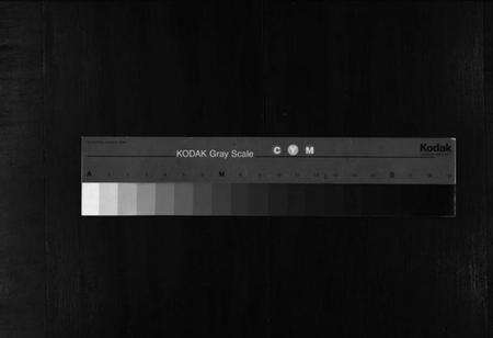 浙江顾氏族谱-东阳吴宁顾氏宗谱 [不分卷].pdf电子版缩略图