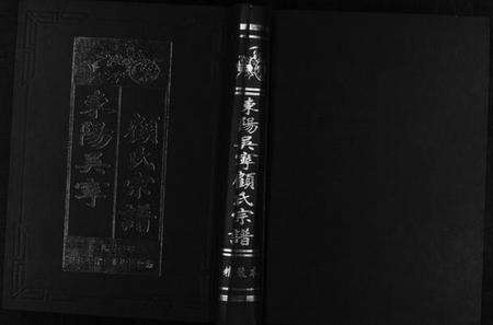 浙江顾氏族谱-东阳吴宁顾氏宗谱 [不分卷].pdf电子版预览图1