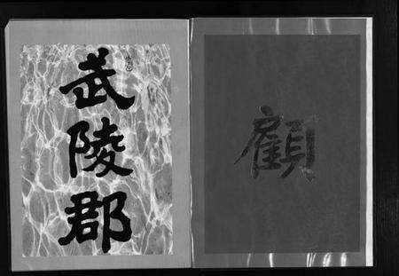 浙江顾氏族谱-东阳吴宁顾氏宗谱 [不分卷].pdf电子版预览图3