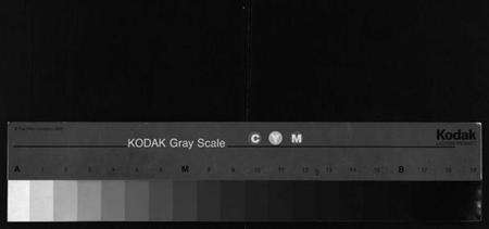 浙江黄氏族谱-东阳奥里黄氏宗谱 [8卷].pdf电子版缩略图