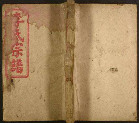 湖南李氏族谱-李氏族谱.pdf电子版缩略图