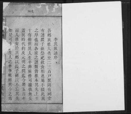 湖南李氏族谱-李氏族谱.pdf电子版预览图3