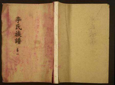 湖南未知族谱-李氏族谱.pdf电子版缩略图