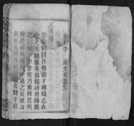 湖南李氏族谱-李氏族谱.pdf电子版预览图1