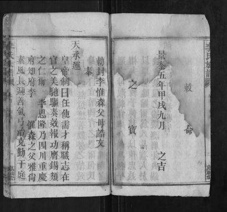 湖南李氏族谱-李氏族谱.pdf电子版预览图3