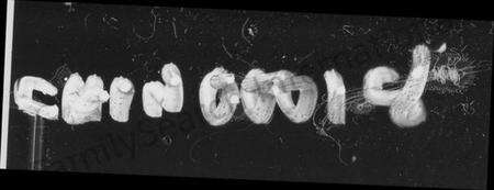 湖南李氏族谱-李氏族谱 [10卷,首1卷].pdf电子版预览图1