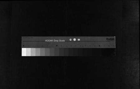 浙江詹氏族谱-东阳詹氏宗谱.pdf电子版缩略图