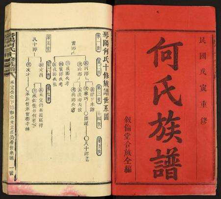 江西何氏族谱-琴阳何氏十修族谱.pdf电子版预览图2