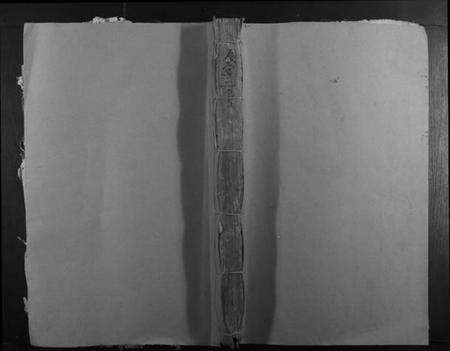 湖南李氏族谱-李氏族谱[10卷].pdf电子版缩略图