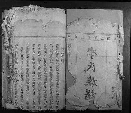 湖南李氏族谱-李氏族谱[10卷].pdf电子版预览图2