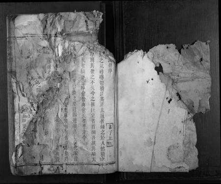 湖南李氏族谱-李氏族谱[不分卷].pdf电子版预览图1