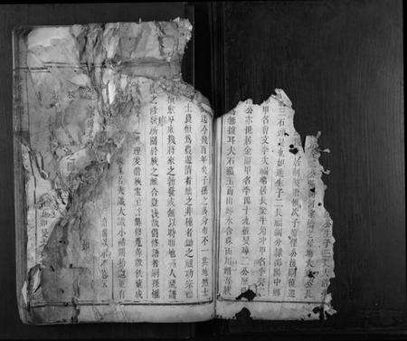 湖南李氏族谱-李氏族谱[不分卷].pdf电子版预览图2