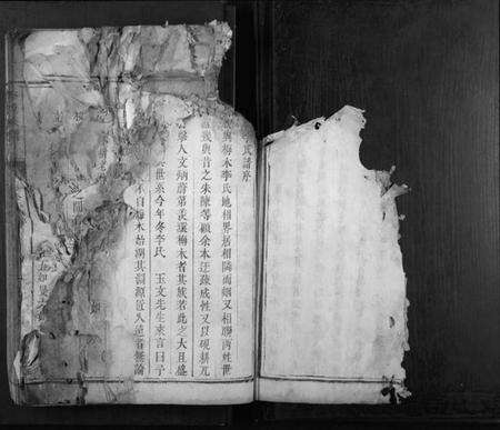 湖南李氏族谱-李氏族谱[不分卷].pdf电子版预览图3