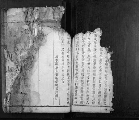 湖南李氏族谱-李氏族谱[不分卷].pdf电子版预览图4