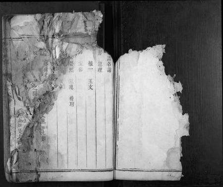 湖南李氏族谱-李氏族谱[不分卷].pdf电子版预览图5